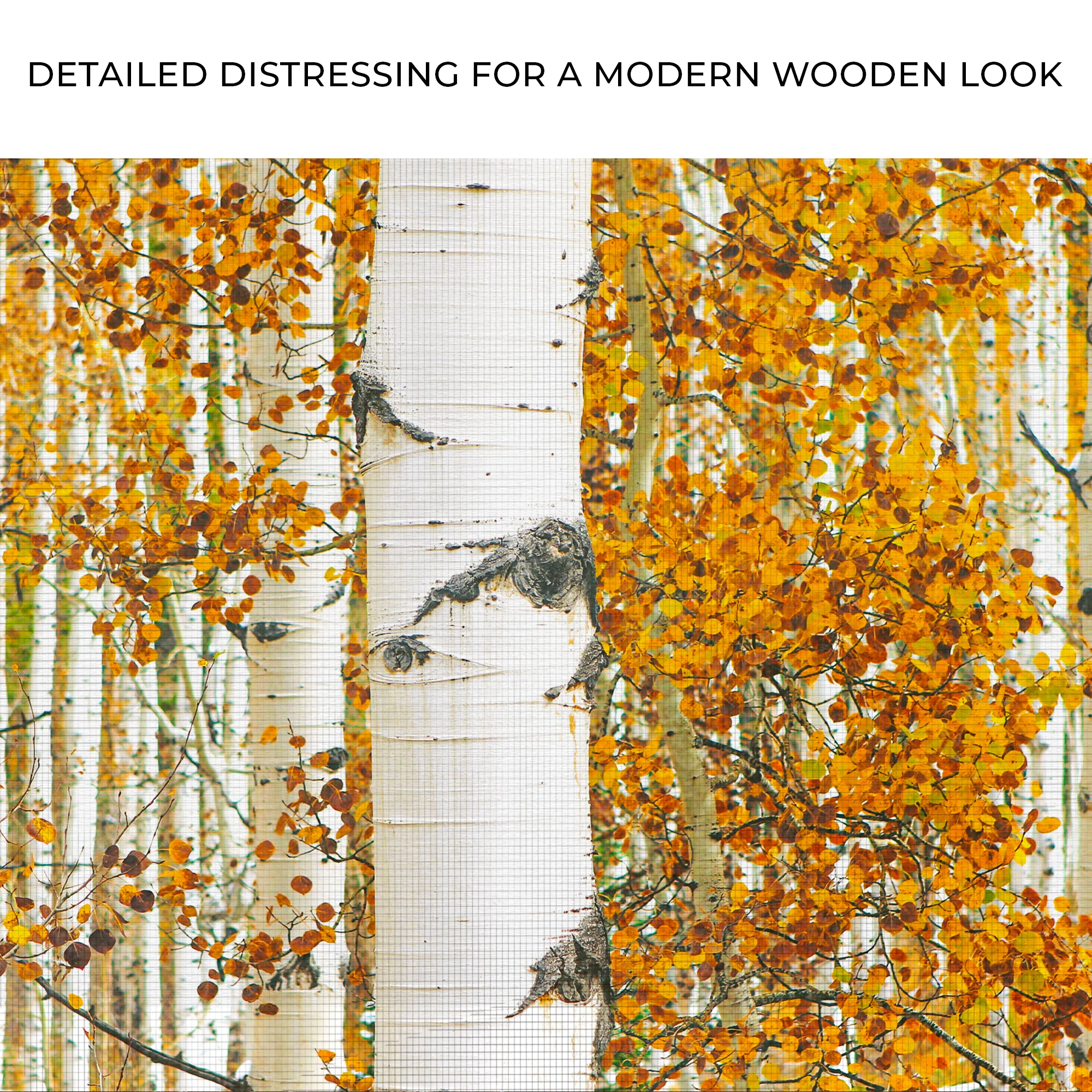 Autumn Tree Barks Canvas Wall Art - Image 4