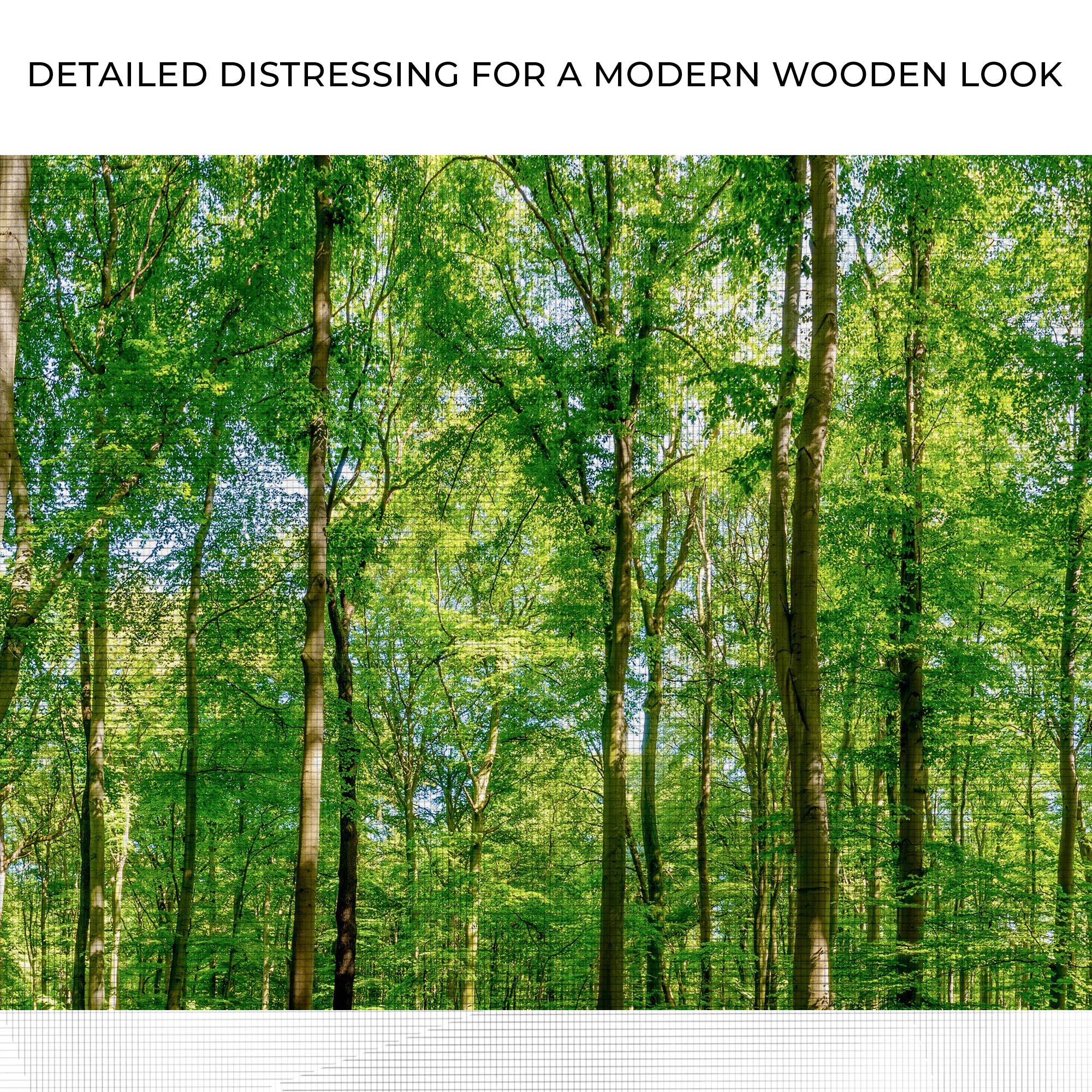 Golden Rays Into The Forest Canvas Wall Art - Image 4